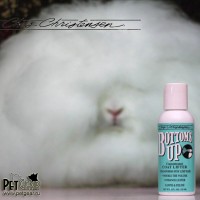 Концентрированный шоу-спрей для объёма Bottoms Up Концентрированный шоу-спрей для объёма Bottoms Up