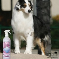 Спрей Chris Christensen Just Divine Спрей Chris Christensen Just Divine