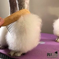 Расческа с экстра длинными зубцами Расческа с экстра длинными зубцами