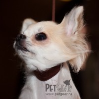 Ринговка с сатиновым расширителем под горло Ринговка с сатиновым расширителем под горло