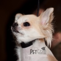 Ринговка с атласным расширителем Madan`s Ринговка с атласным расширителем Madan`s