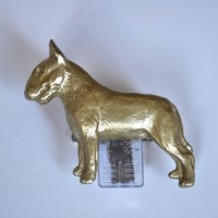 Бультерьер Бультерьер