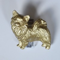 Чихуахуа длинношерстный Чихуахуа длинношерстный