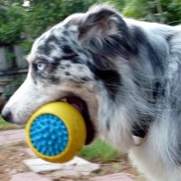 Мяч JW Grass Ball Мяч JW Grass Ball