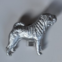 Шарпей Шарпей