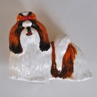 Ши-тцу Ши-тцу