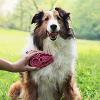 Щетка Kong ZoomGroom для больших собак Щетка Kong ZoomGroom для больших собак