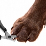 Уход за когтями