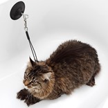 Аксессуары для груминга