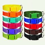 Ошейники и поводки