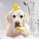 Шикарные предложения в разделе Распродажа!