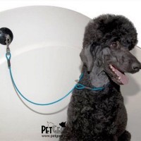 Комплект для купания собаки Комплект для купания собаки