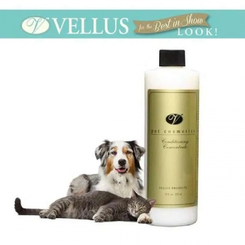 Шампунь Vellus Shampoo Concentrate